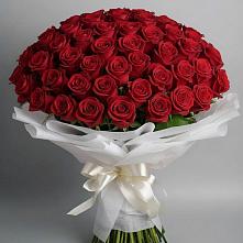 Букет 101 Красная роза Блэк Мэджик в Апатитах