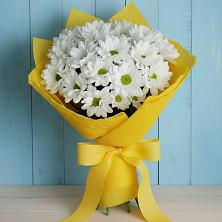 Букет цветов из:  Хризантемы в Апатитах