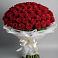 Букет 101 Красная роза Блэк Мэджик в Апатитах