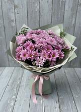 Букет цветов из:  Хризантемы в Апатитах