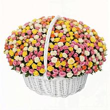 Премиум букет из: Розы в Апатитах