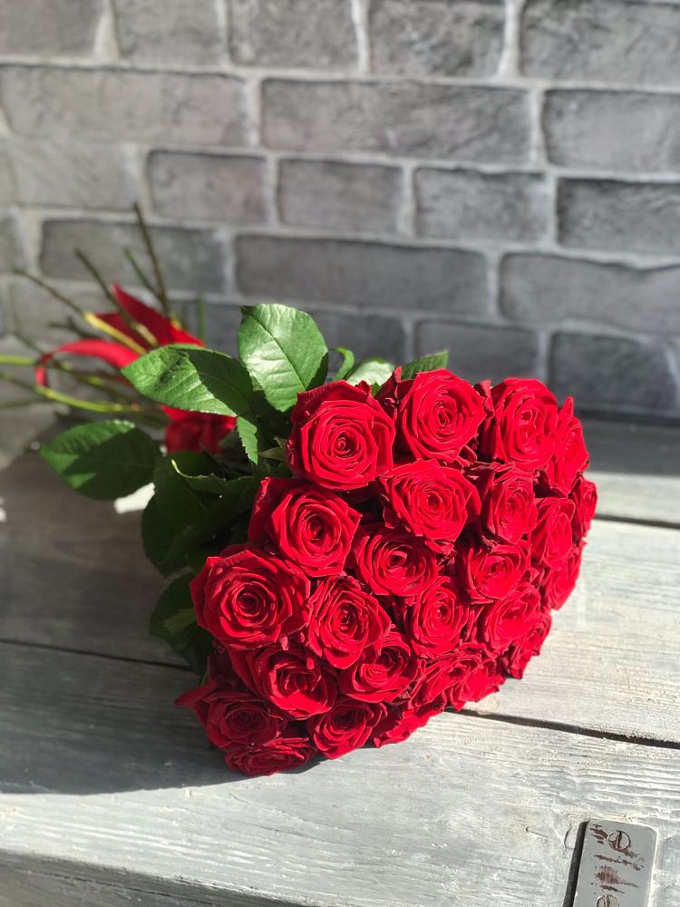 Букет Красные розы Фридом в Апатитах