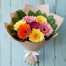 Букет цветов из:  Герберы #REPLACE_PRED# Апатитах