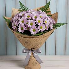 Букет цветов из:  Хризантемы в Апатитах