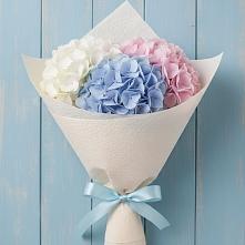 Букет цветов из:  Гортензия в Апатитах
