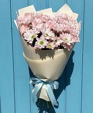 Букет цветов из:  Хризантемы в Апатитах