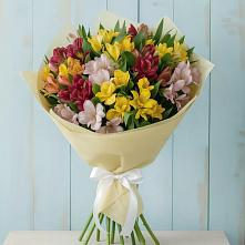 Букет цветов из:  Альстромерии в Апатитах