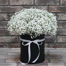 Цветочная композиция из Гипсофила в шляпной коробке #REPLACE_PRED# Апатитах
