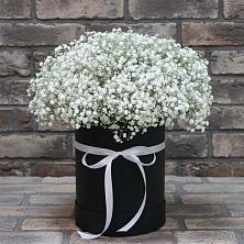 Цветочная композиция из Гипсофила в шляпной коробке в Апатитах