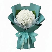 Букет цветов из:  Гортензия в Апатитах